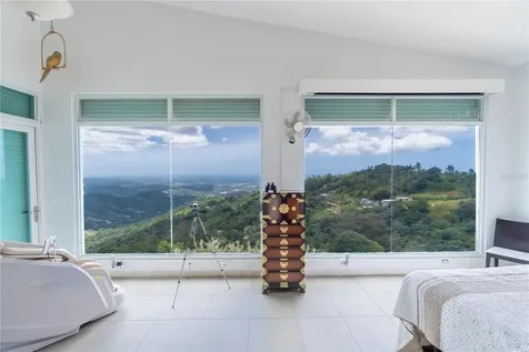 9957 Elias Santiago Canovanas PR 00729