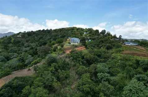 9957 Elias Santiago Canovanas PR 00729