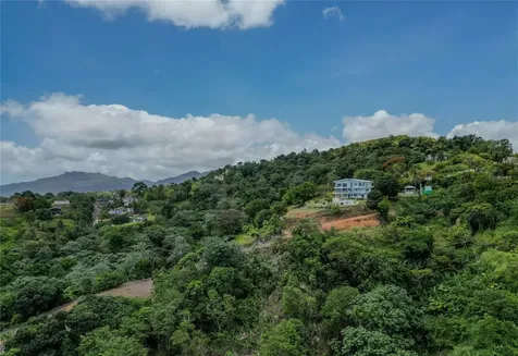 9957 Elias Santiago Canovanas PR 00729