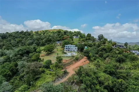 9957 Elias Santiago Canovanas PR 00729