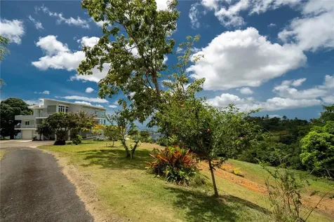 9957 Elias Santiago Canovanas PR 00729