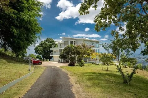 9957 Elias Santiago Canovanas PR 00729