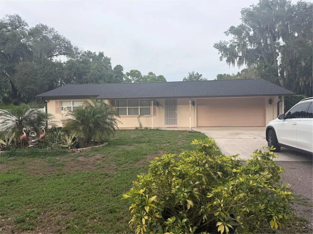 8009 Paulson Lane Tampa FL 33617