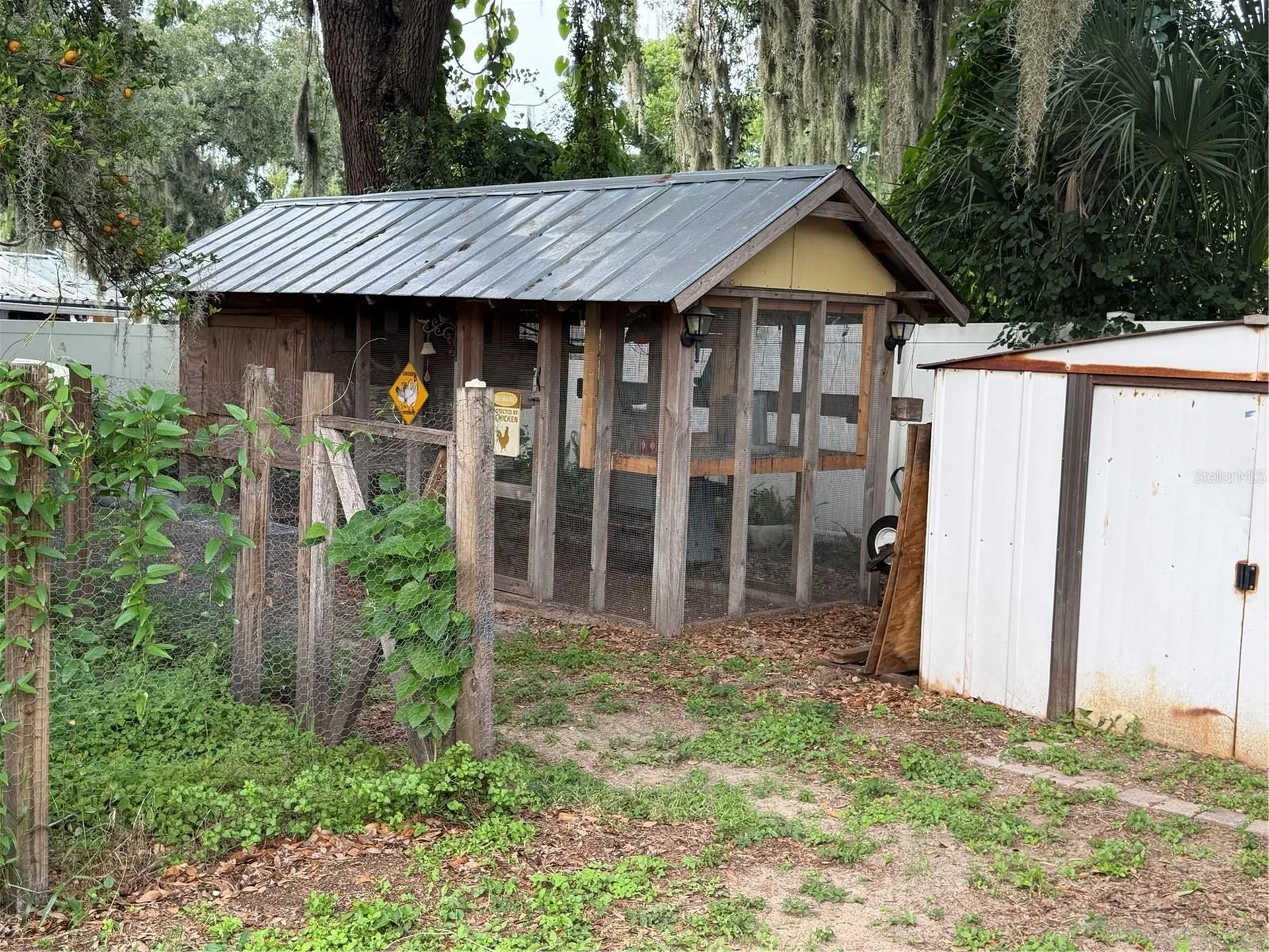 8009 Paulson Lane Tampa FL 33617