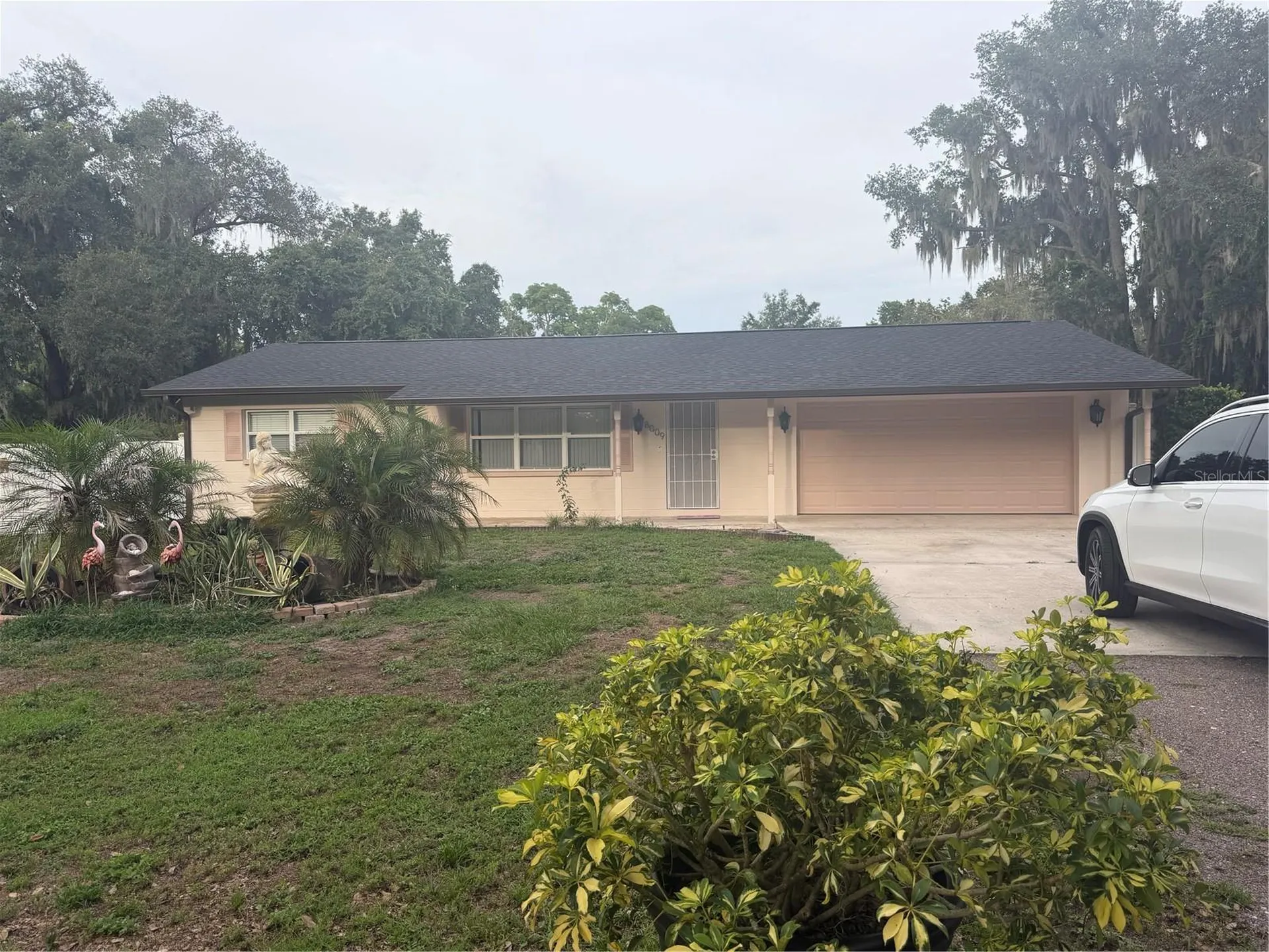 8009 Paulson Lane Tampa FL 33617