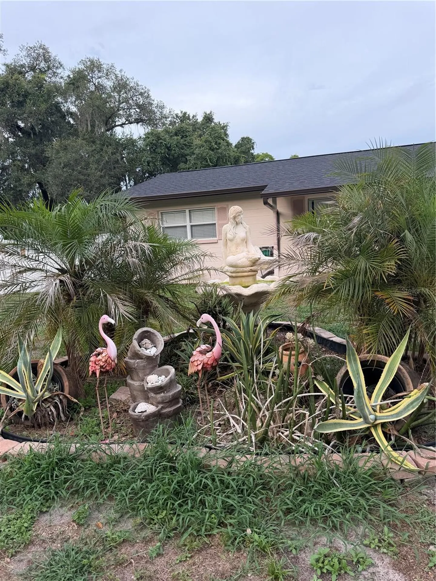 8009 Paulson Lane Tampa FL 33617