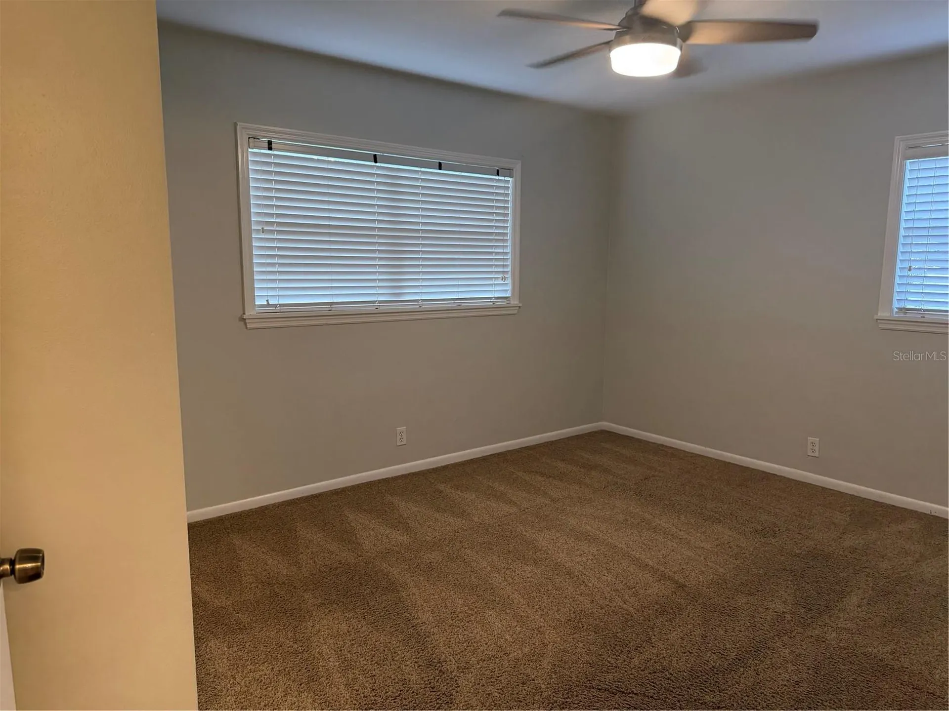 8009 Paulson Lane Tampa FL 33617
