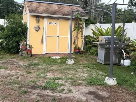 8009 Paulson Lane Tampa FL 33617