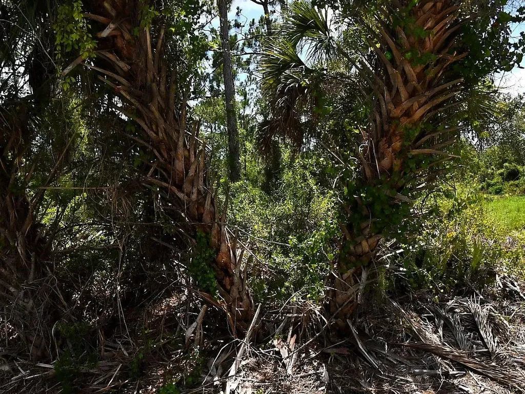 Abdella Lane North Port FL 34291