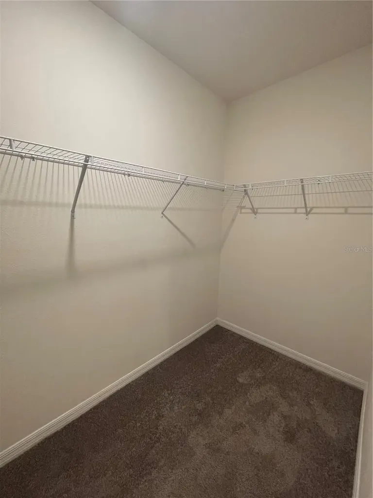 33952 Jasper Stone Drive Wesley Chapel FL 33543