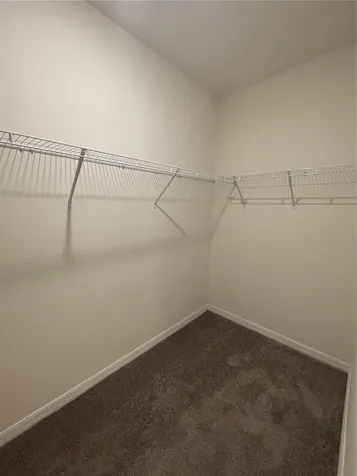 33952 Jasper Stone Drive Wesley Chapel FL 33543