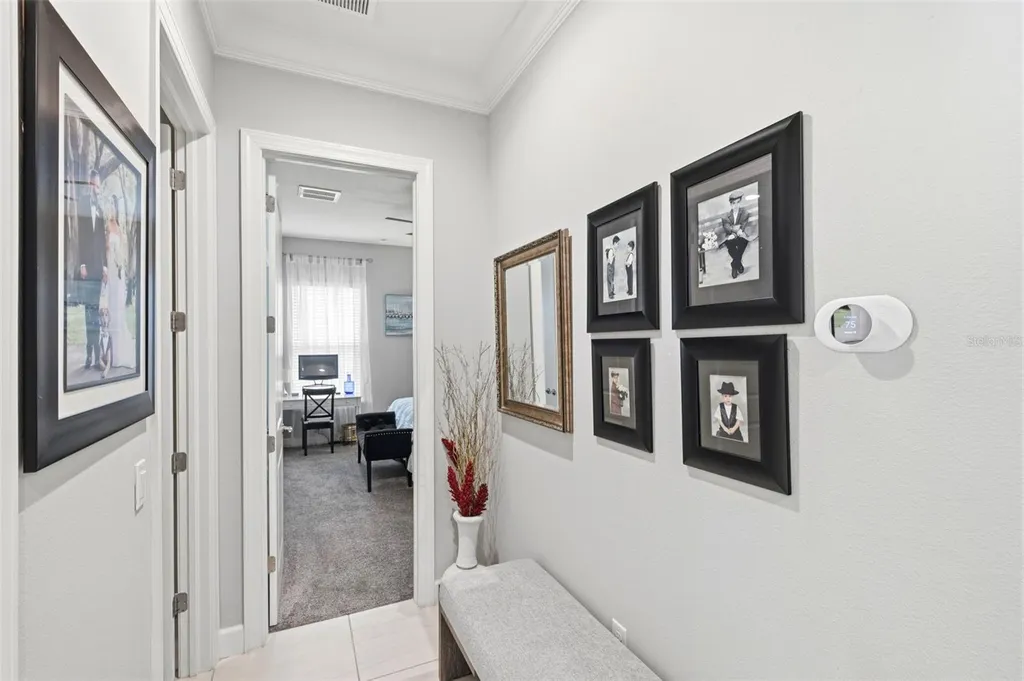 20117 Umbria Hill Drive Tampa FL 33647