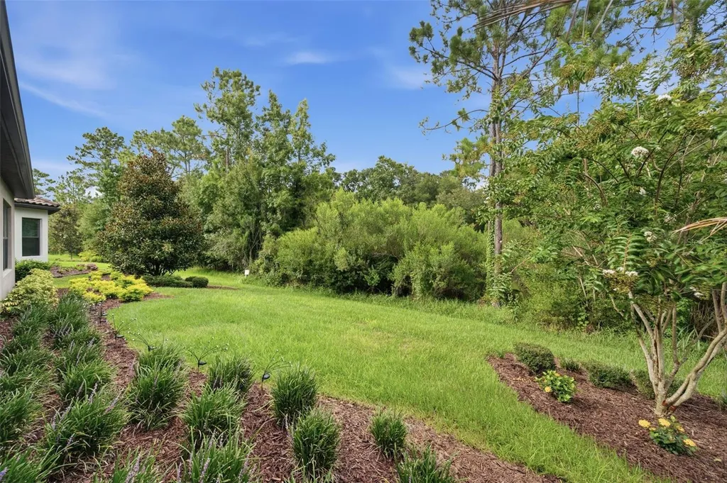 20117 Umbria Hill Drive Tampa FL 33647