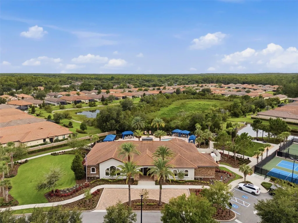 20117 Umbria Hill Drive Tampa FL 33647