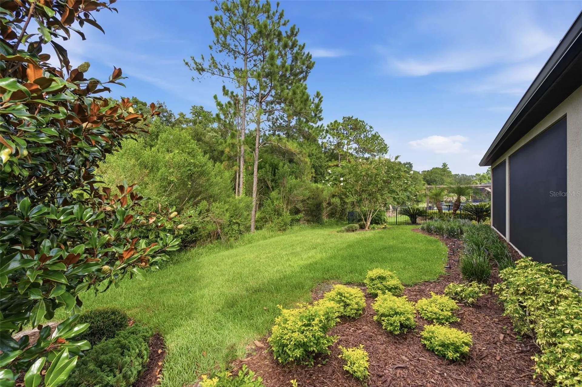 20117 Umbria Hill Drive Tampa FL 33647