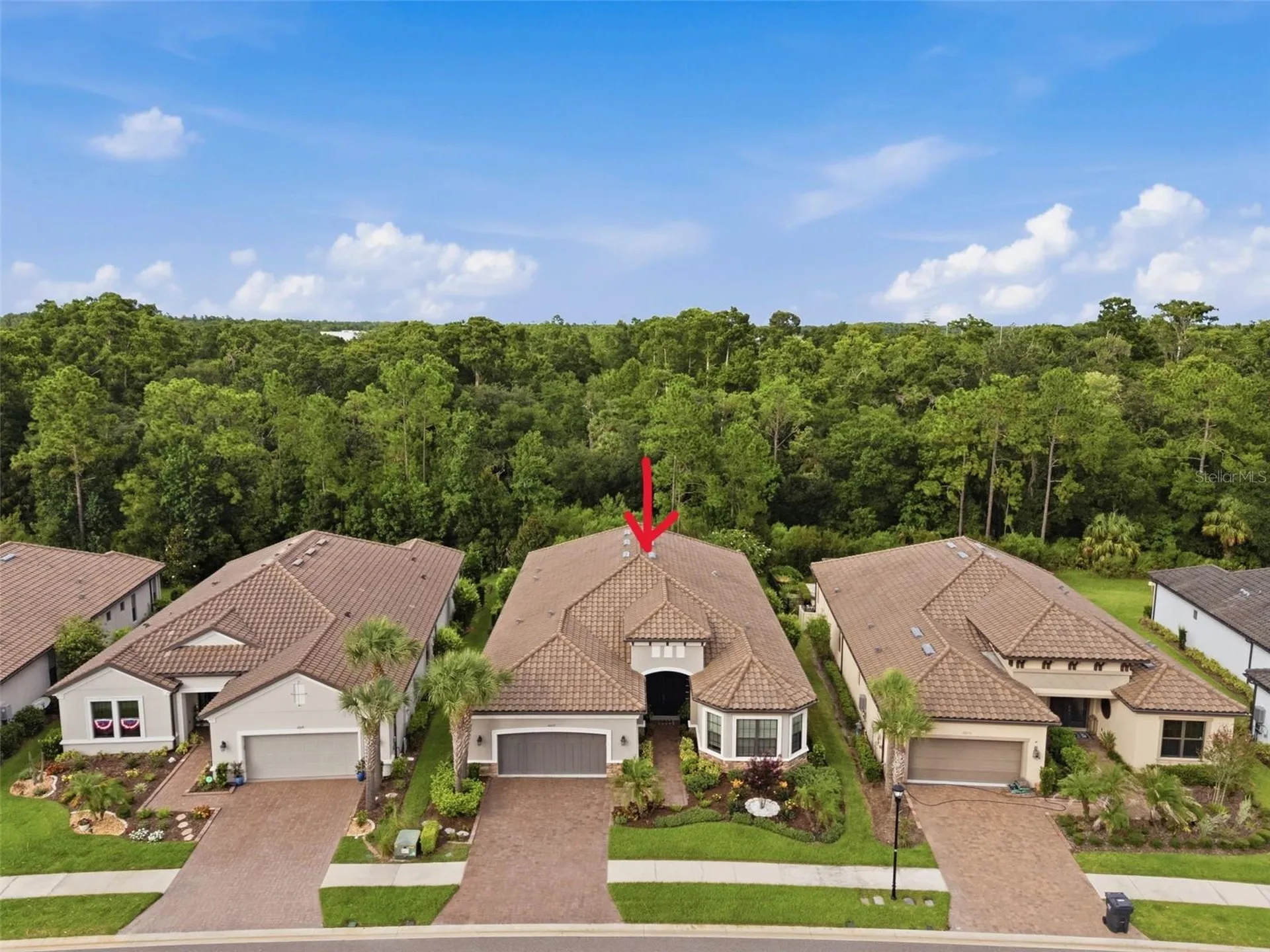 20117 Umbria Hill Drive Tampa FL 33647