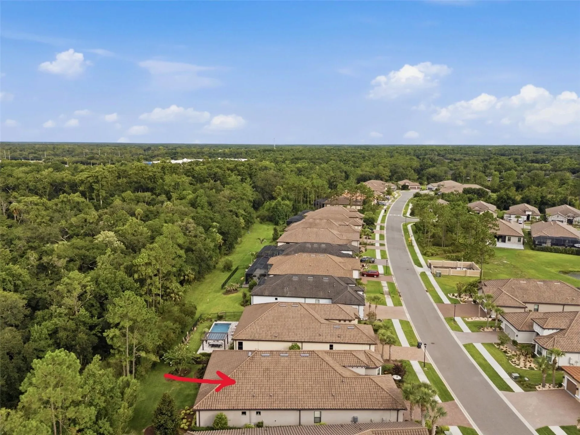 20117 Umbria Hill Drive Tampa FL 33647