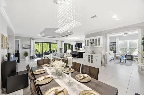 20117 Umbria Hill Drive Tampa FL 33647