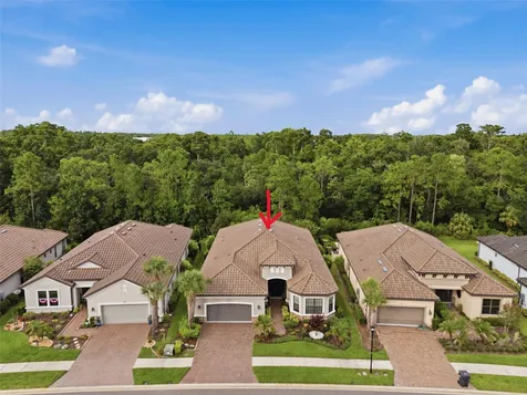 20117 Umbria Hill Drive Tampa FL 33647