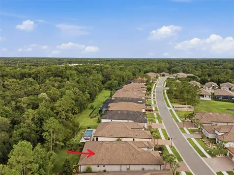 20117 Umbria Hill Drive Tampa FL 33647