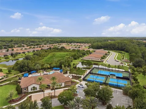20117 Umbria Hill Drive Tampa FL 33647