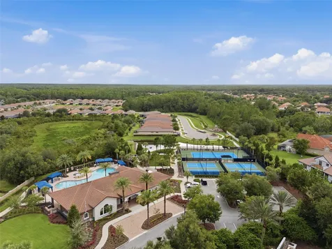 20117 Umbria Hill Drive Tampa FL 33647