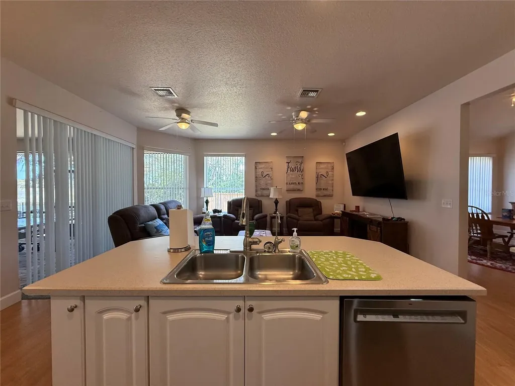 24907 NE 135th Street Salt Springs FL 32134