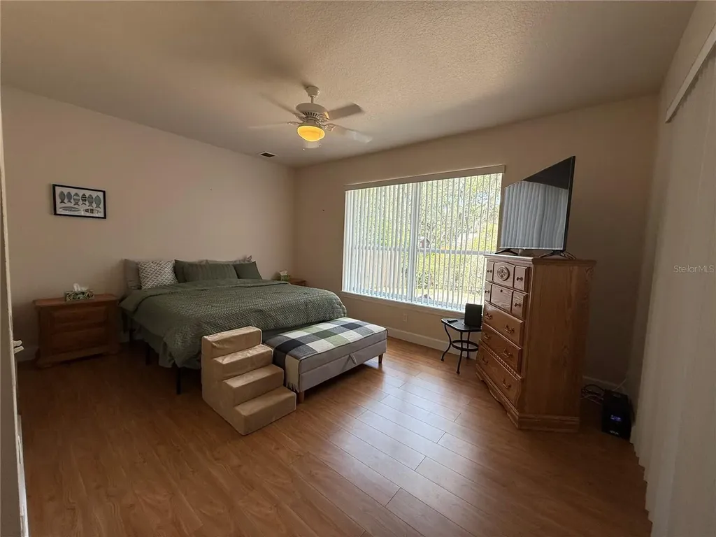 24907 NE 135th Street Salt Springs FL 32134
