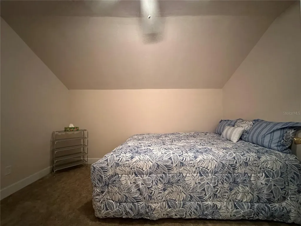 24907 NE 135th Street Salt Springs FL 32134