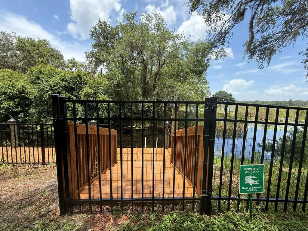24907 NE 135th Street Salt Springs FL 32134