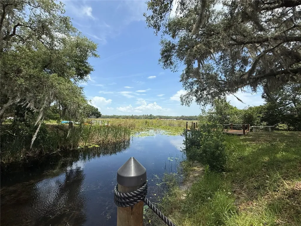 24907 NE 135th Street Salt Springs FL 32134
