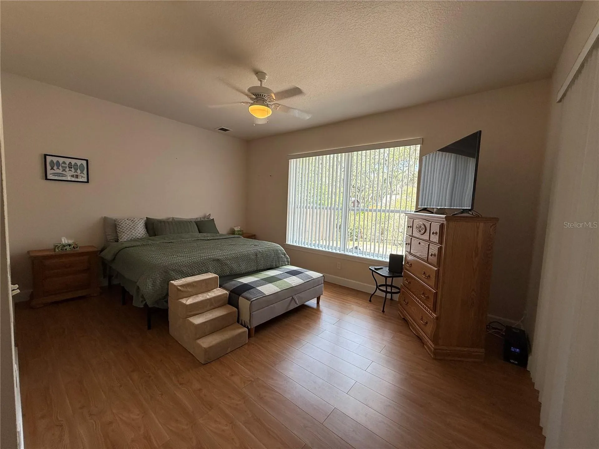 24907 NE 135th Street Salt Springs FL 32134