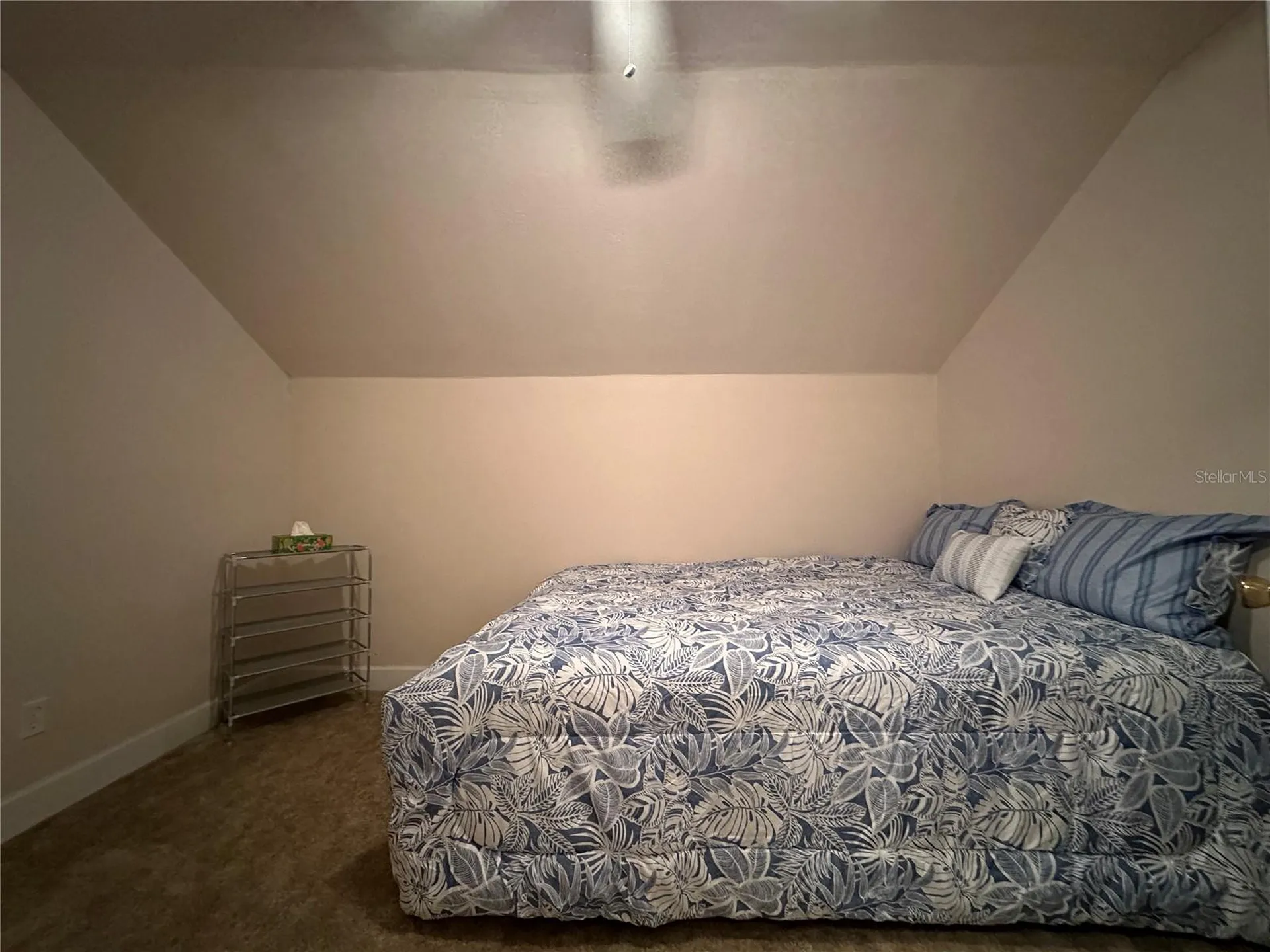 24907 NE 135th Street Salt Springs FL 32134