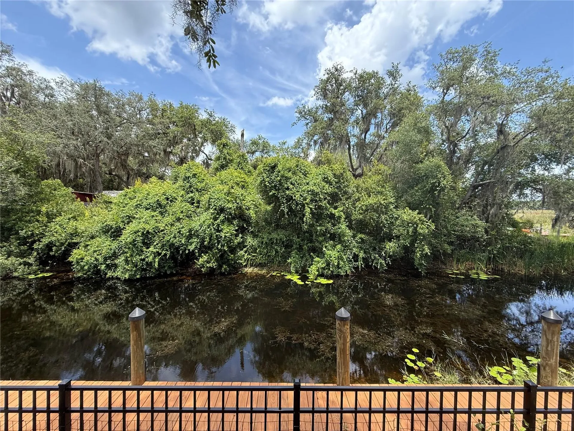 24907 NE 135th Street Salt Springs FL 32134