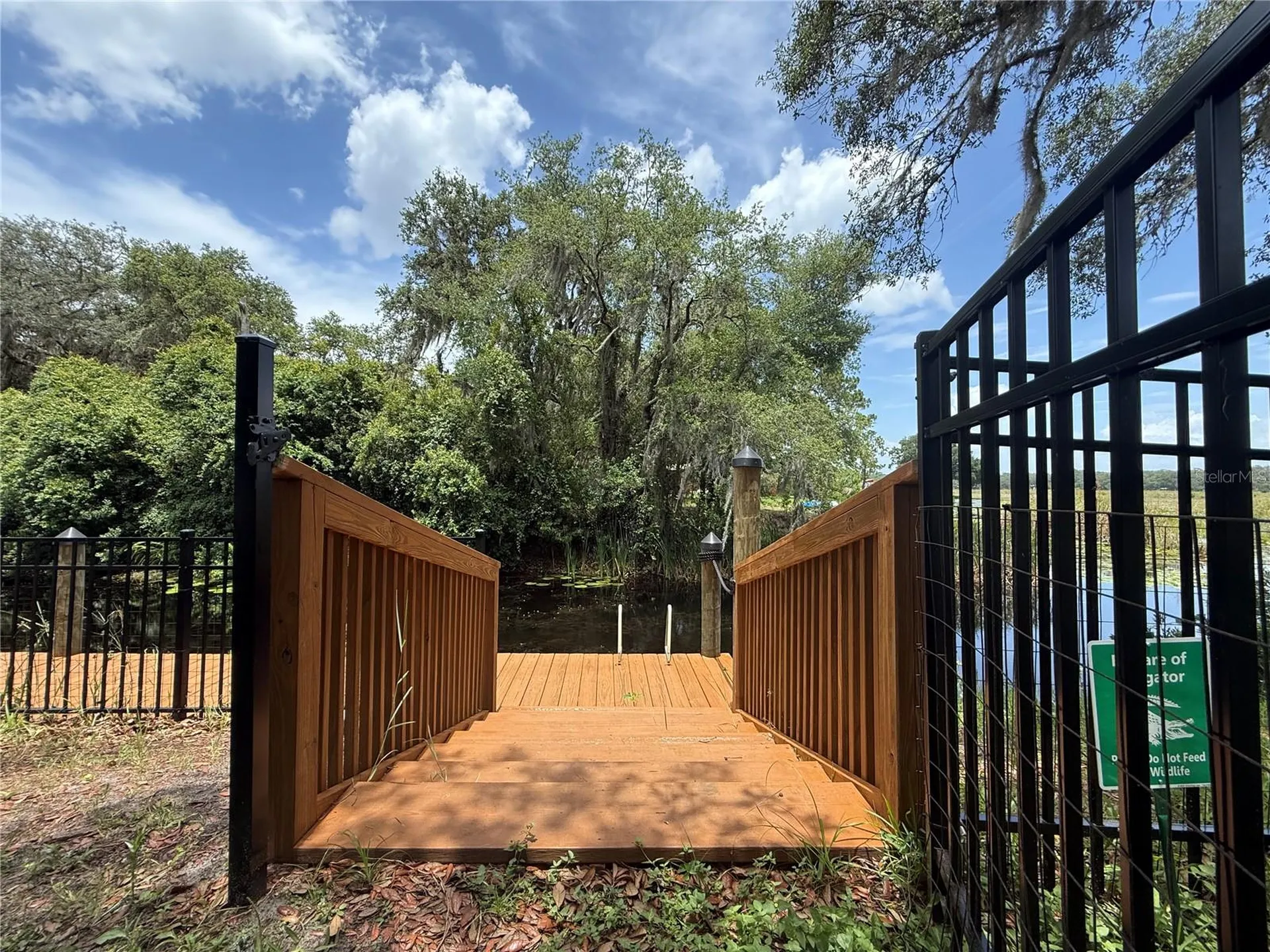 24907 NE 135th Street Salt Springs FL 32134