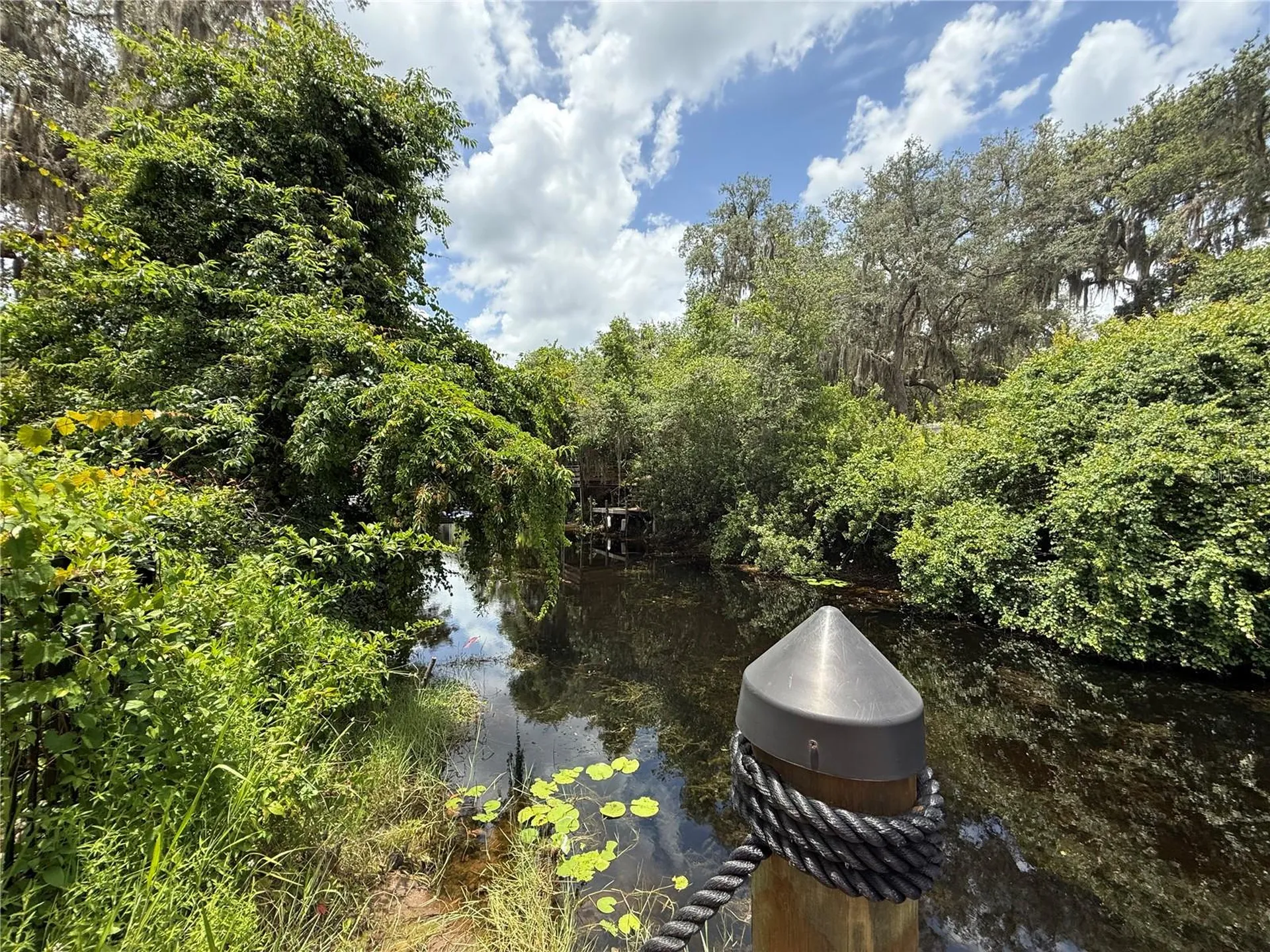 24907 NE 135th Street Salt Springs FL 32134