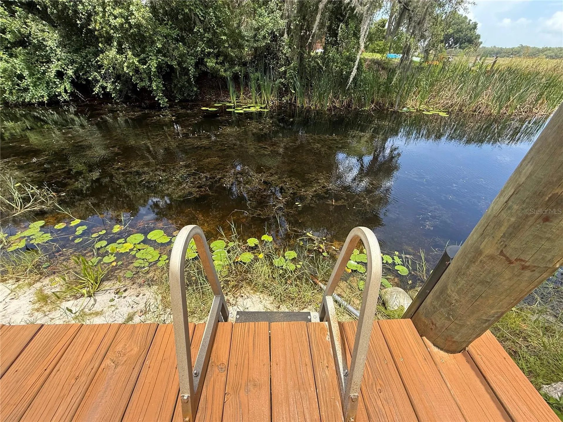 24907 NE 135th Street Salt Springs FL 32134