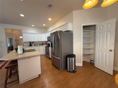 24907 NE 135th Street Salt Springs FL 32134