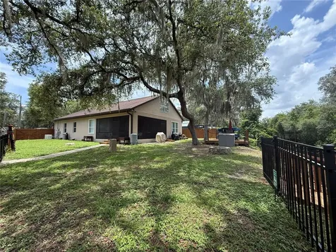 24907 NE 135th Street Salt Springs FL 32134