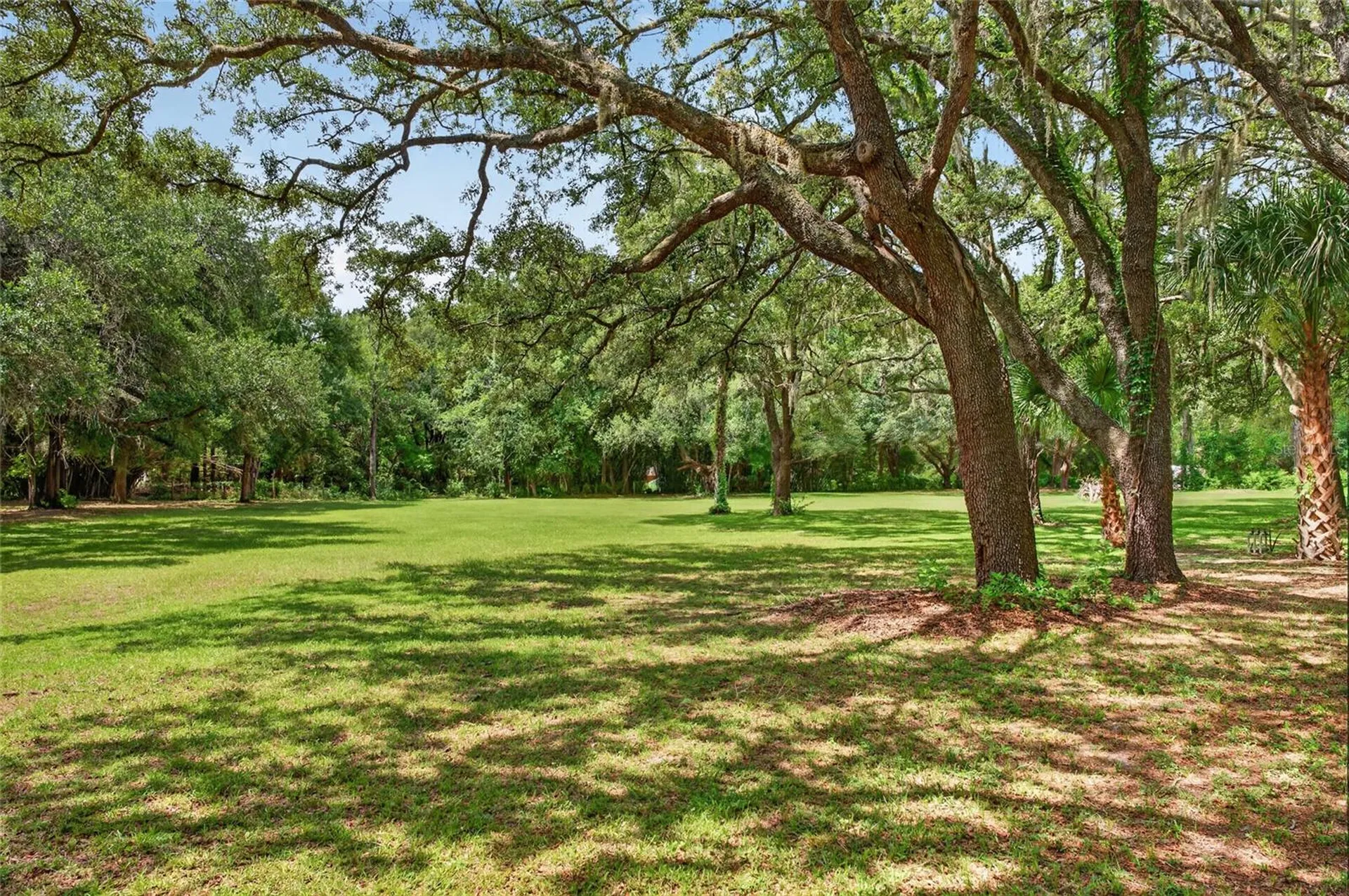 11782 SW 140th Street Dunnellon FL 34432
