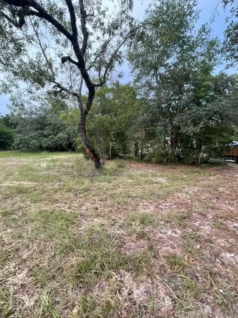 4001 SW 189th Avenue Dunnellon FL 34432