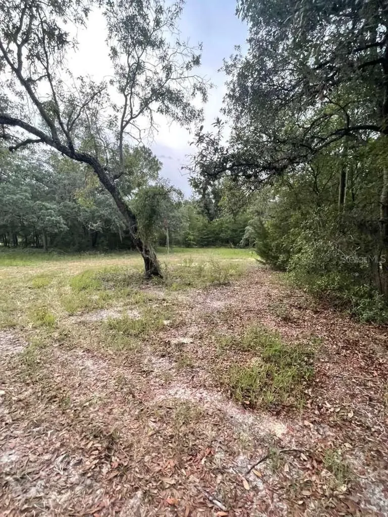 4001 SW 189th Avenue Dunnellon FL 34432