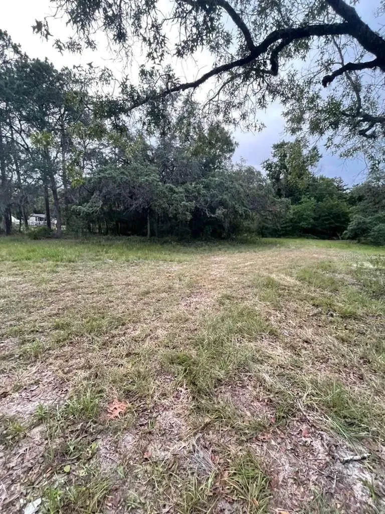 4001 SW 189th Avenue Dunnellon FL 34432