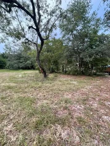 4001 SW 189th Avenue Dunnellon FL 34432