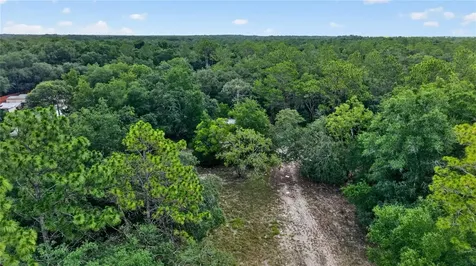 4001 SW 189th Avenue Dunnellon FL 34432