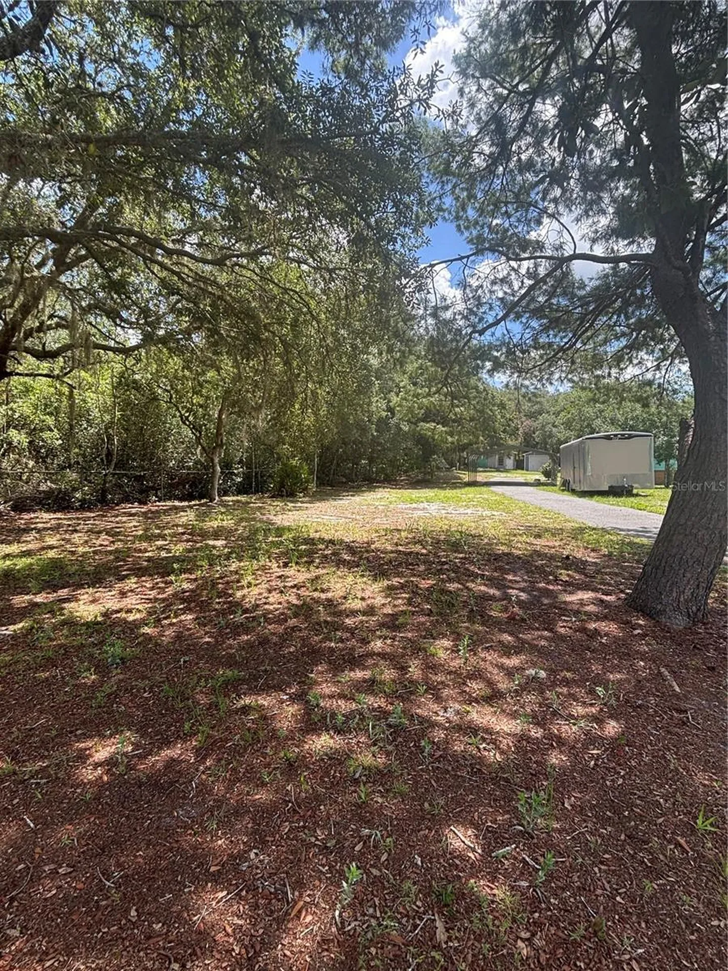 44238 Forest View Road Deland FL 32720