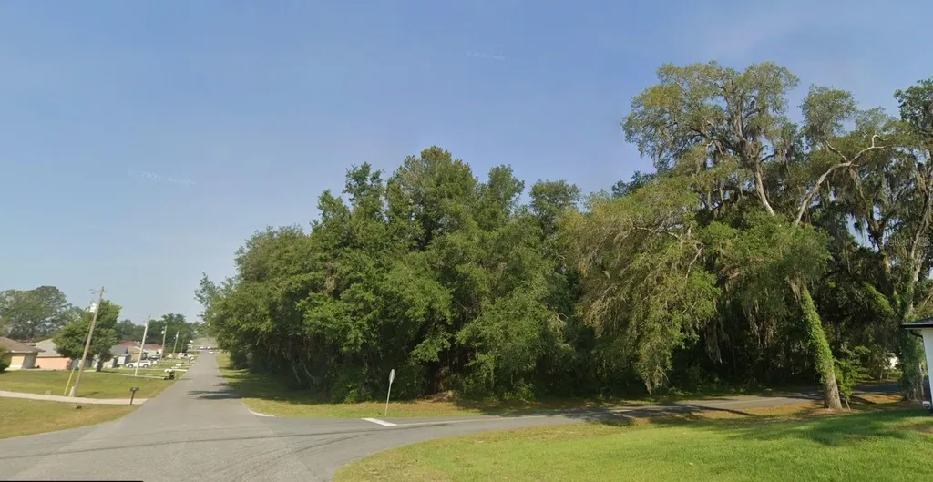 Lot 20 SW 132nd Street Ocala FL 34473