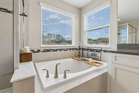 19948 Stone Pine Circle Lutz FL 33558