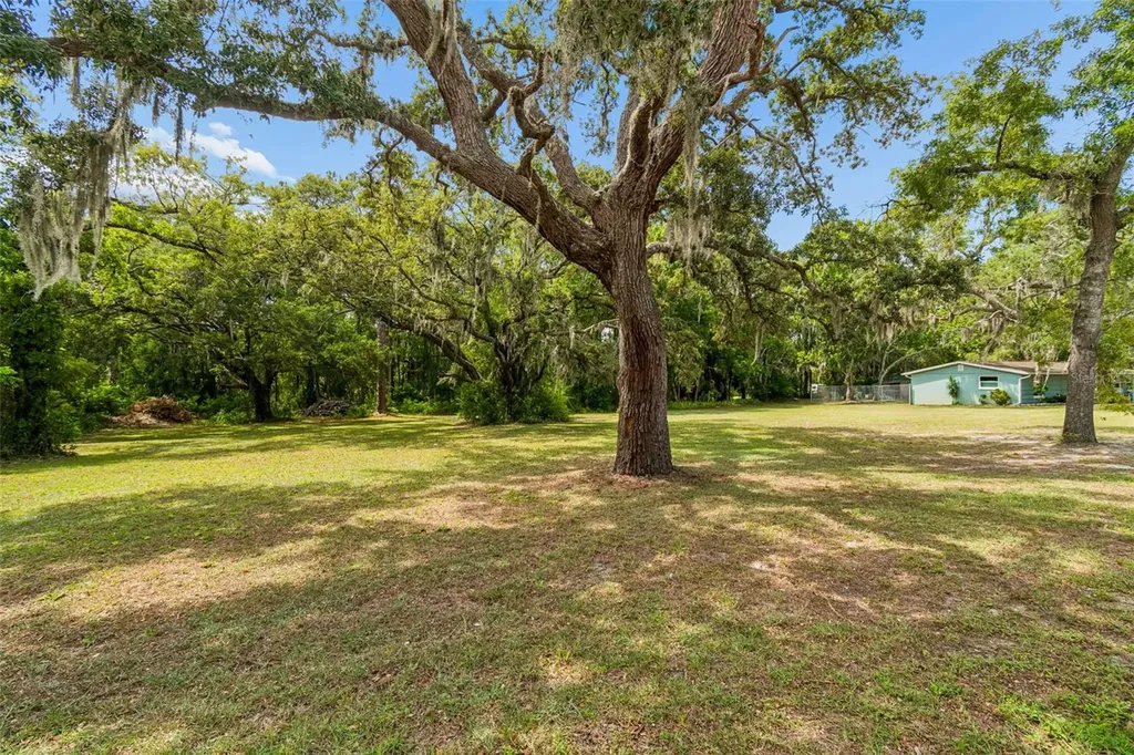 9950 Hilltop Drive New Port Richey FL 34654