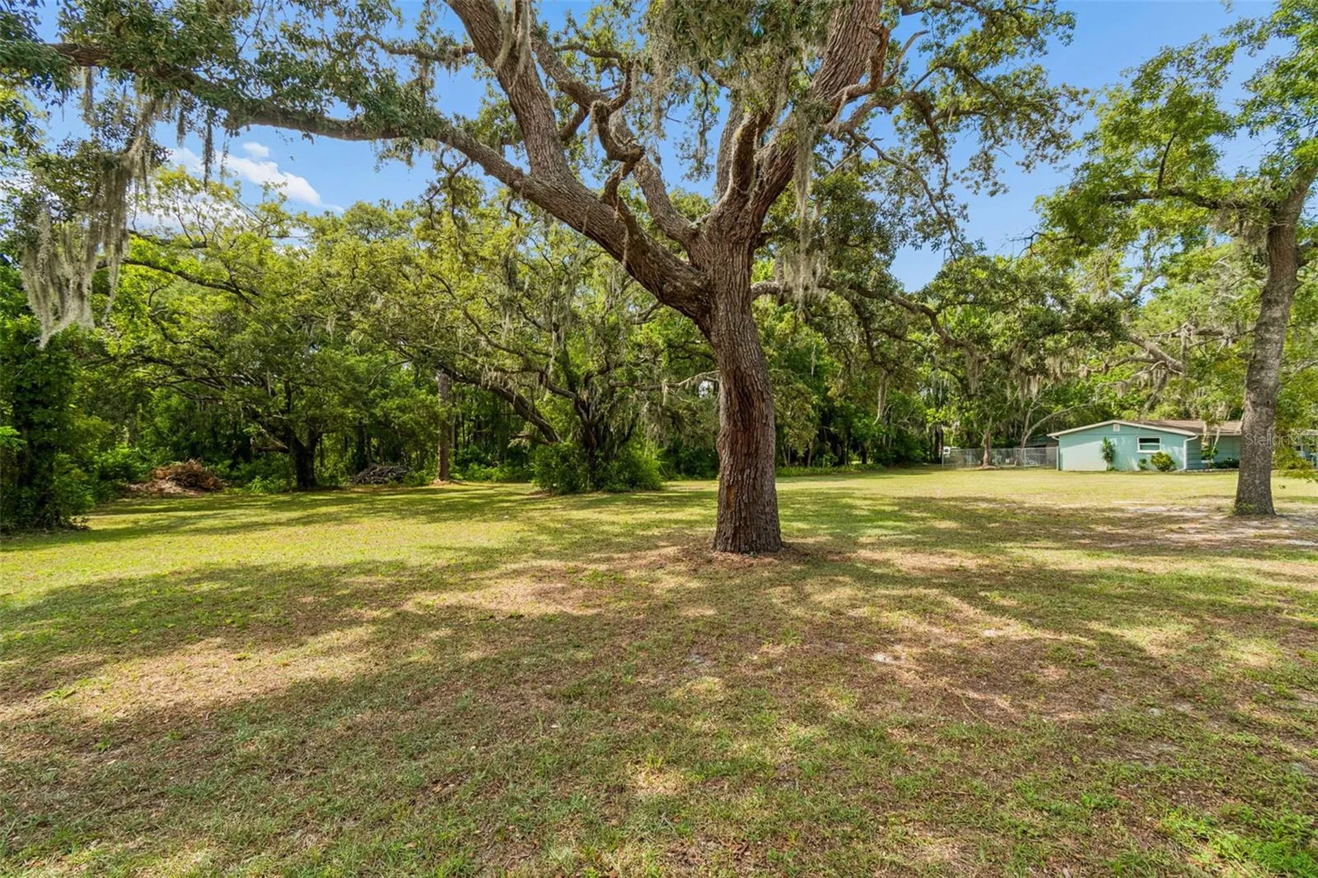 9950 Hilltop Drive New Port Richey FL 34654